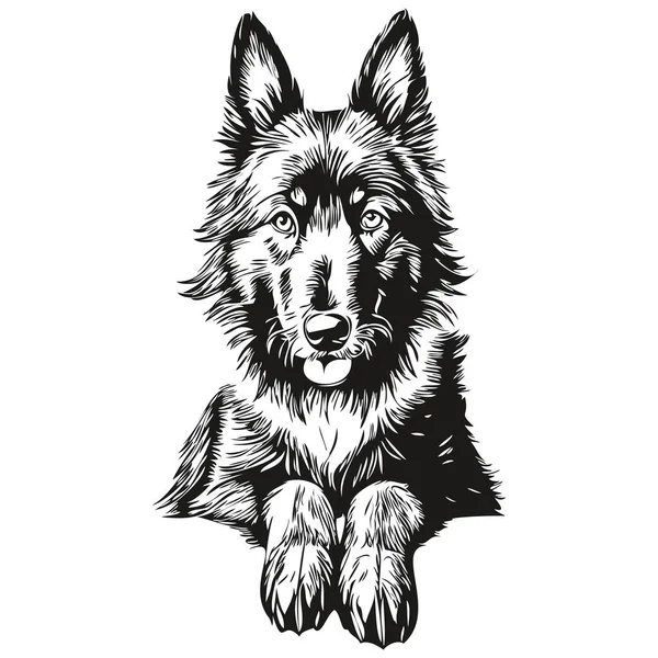 Belgian Sheepdog Pet Sketch Illustration Black White Engraving Vector Real — 스톡 벡터
