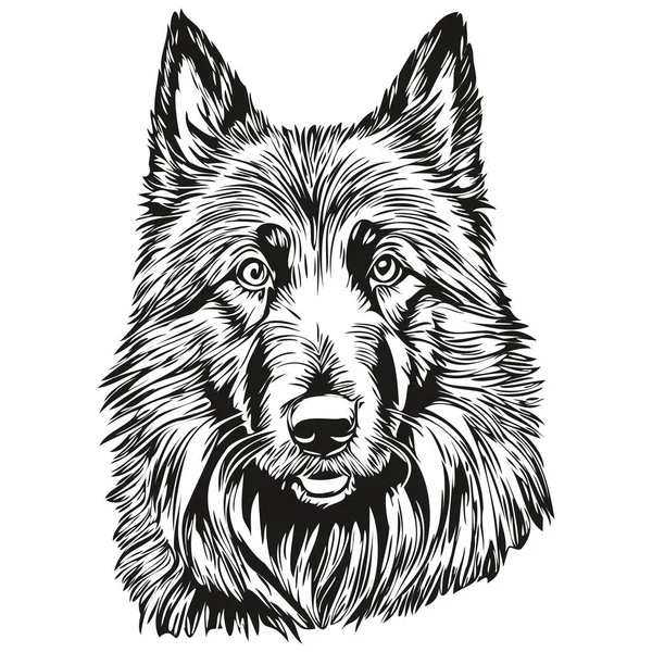 Belgischer Schäferhund Tiersilhouette Animal Line Illustration Hand Gezeichnet Schwarz Weißer — Stockvektor