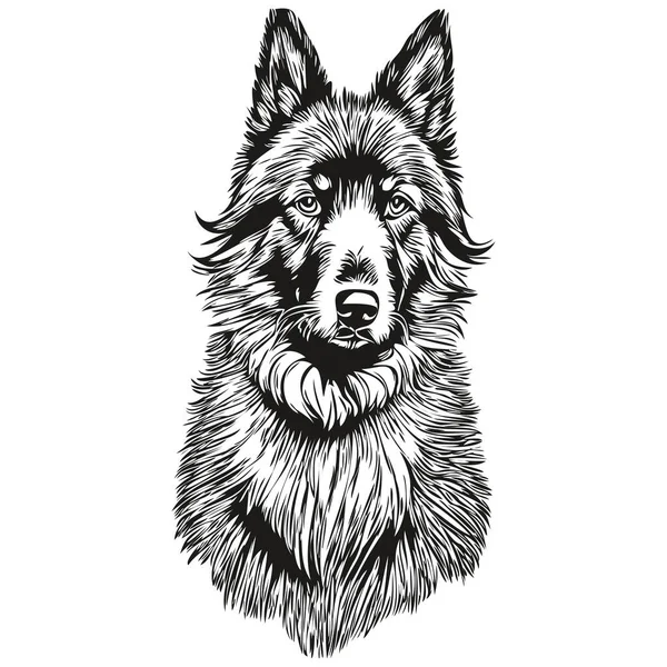 Belgian Sheepdog Pet Sketch Illustration Black White Engraving Vector — 스톡 벡터