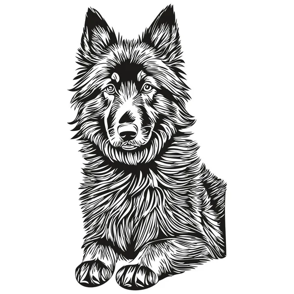 Belgický Ovčák Pes Realistický Pet Ilustrace Ruční Kreslení Tvář Černobílý — Stockový vektor