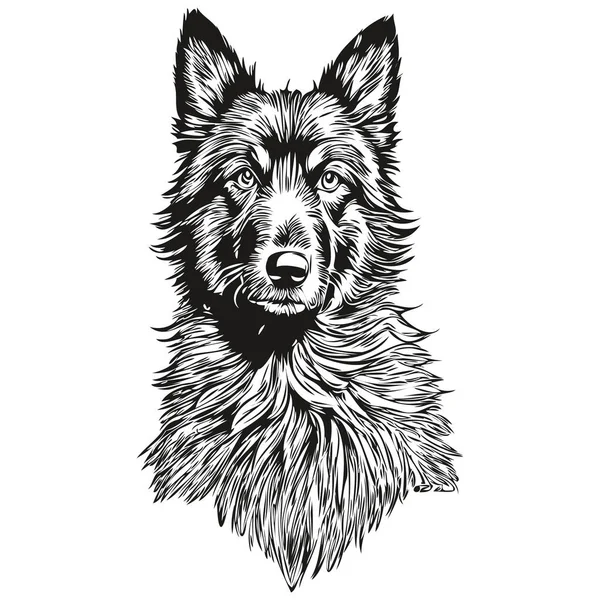 比利时牧羊犬写实铅笔矢量画图 狗脸黑白线条艺术图解 — 图库矢量图片