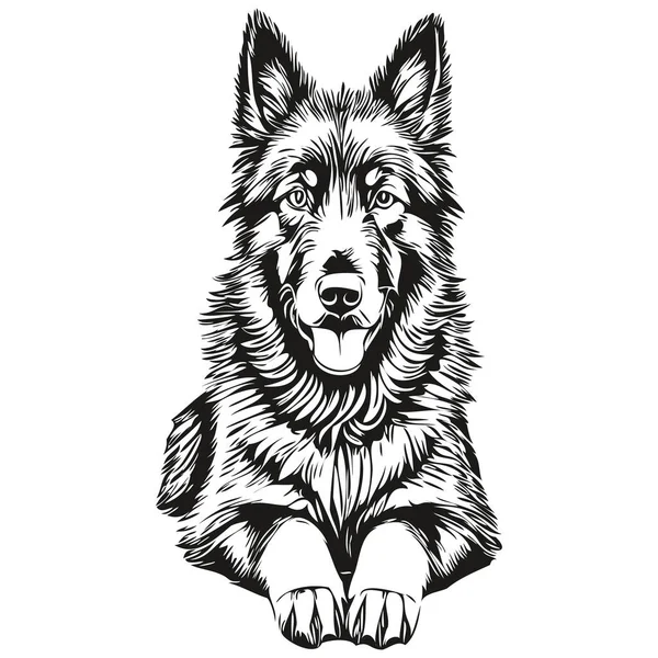 Belgický Ovčák Pes Realistický Pet Ilustrace Ruční Kreslení Tvář Černobílý — Stockový vektor