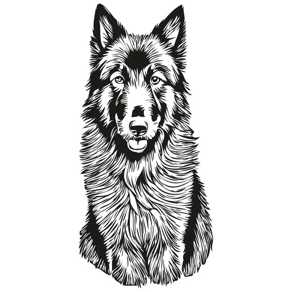 比利时牧羊犬剪影宠物人物形象 剪影艺术载体宠物画黑白相间 — 图库矢量图片