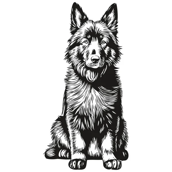 比利时牧羊犬T恤印着黑白相间的 可爱滑稽的轮廓画图矢量逼真的品种宠物 — 图库矢量图片