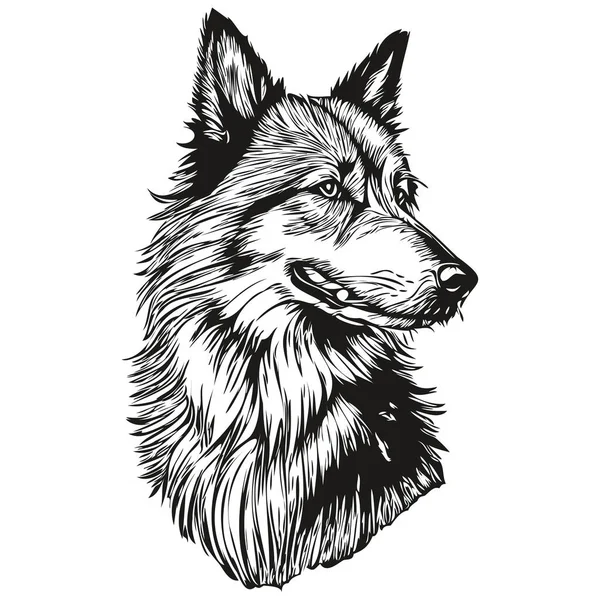 Belgiska Tervuren Hund Svart Teckning Vektor Isolerad Ansikte Målning Skiss — Stock vektor