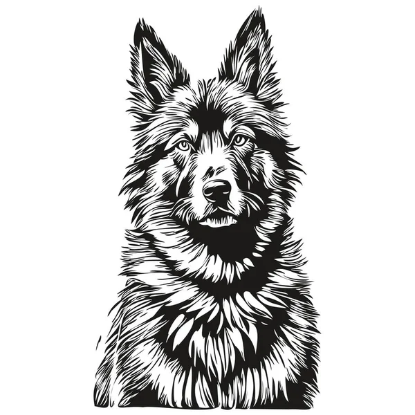Belgische Tervuren Hond Zwart Tekenvector Geïsoleerde Schets Schets Lijnillustratie Schets — Stockvector