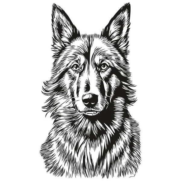 Belgiska Tervuren Hund Svart Ritning Vektor Isolerad Ansikte Målning Skiss — Stock vektor