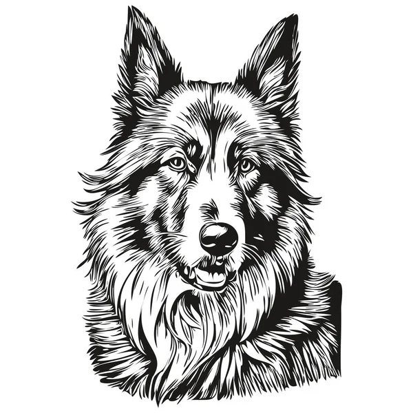 ベルギーのTervulen犬の品種の線画 クリップアート動物の手の描画ベクトル黒と白 — ストックベクタ