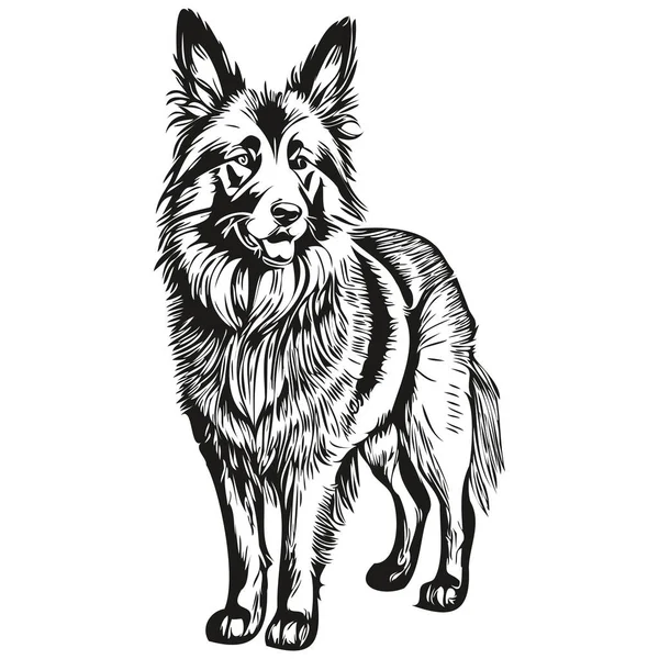 Belgische Tervuren Hond Cartoon Gezicht Inktportret Zwart Wit Schets Tshirt — Stockvector