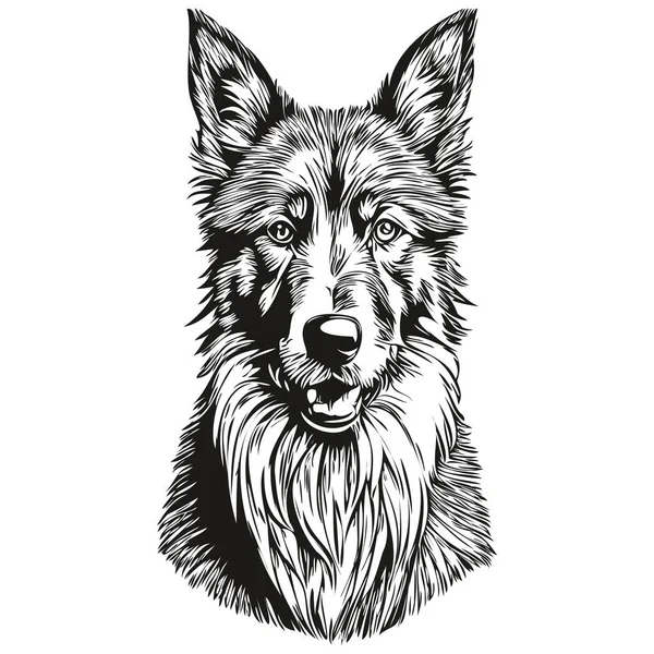 Belgischer Tervuren Hund Cartoon Gesicht Tusche Porträt Schwarz Weiß Skizzenzeichnung — Stockvektor
