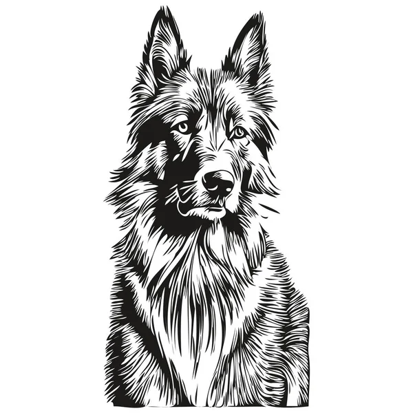 ベルギーのTervulen犬刻まれたベクトルの肖像画 黒と白の現実的な品種のペットで顔の漫画のヴィンテージ図面 — ストックベクタ