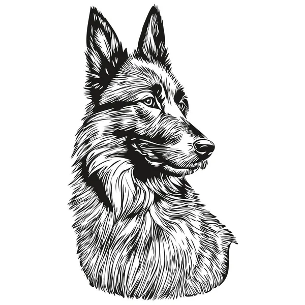Belgian Tervuren Dog Face Vector Portrait Funny Outline Pet Illustration — 스톡 벡터