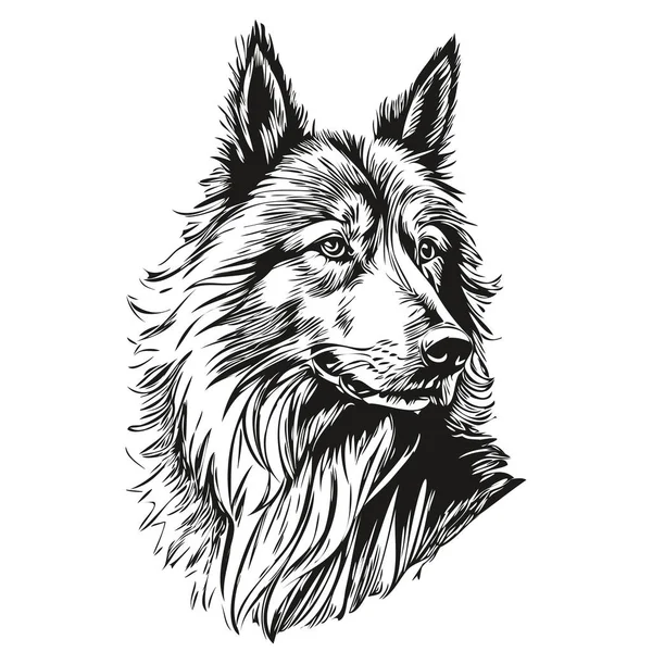 Belgischer Tervuren Hund Gesicht Vektor Porträt Lustige Umrisse Haustier Illustration — Stockvektor