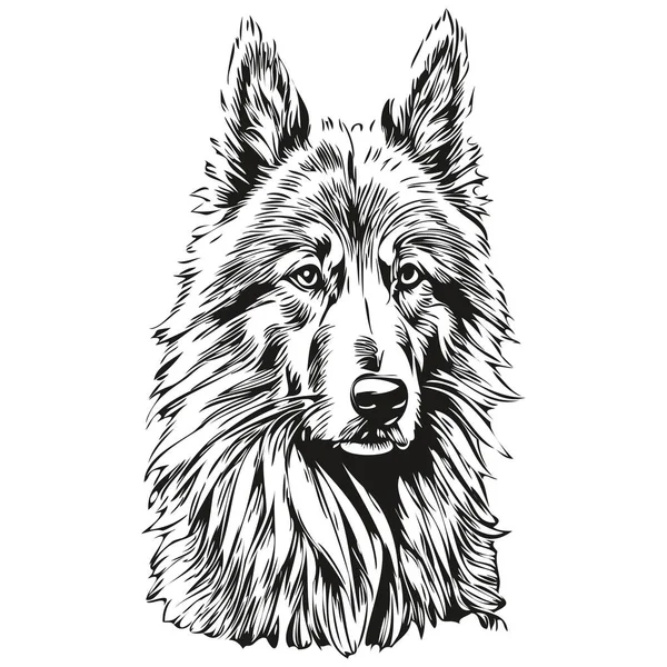 比利时Tervuren犬雕刻矢量肖像 脸卡通画黑白相间 — 图库矢量图片