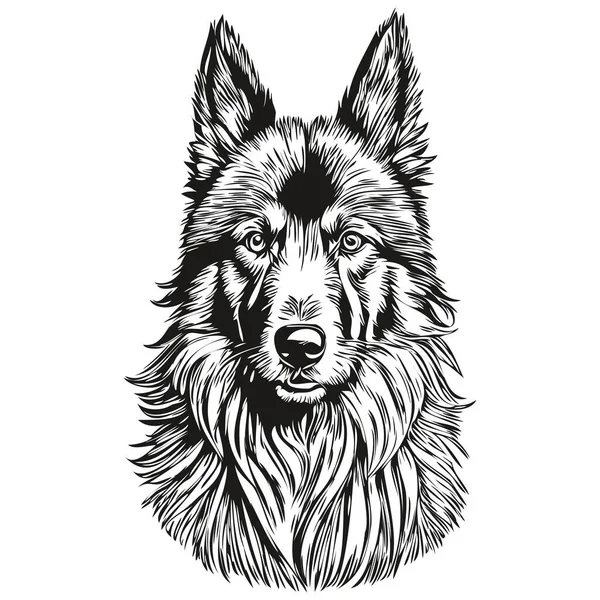 比利时Tervuren犬手绘标识 画黑白线条的艺术宠物画图 真实的品种宠物 — 图库矢量图片