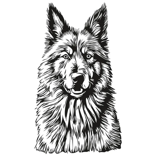 Belgická Tervuren Pes Ručně Kreslené Logo Kreslení Černá Bílá Čára — Stockový vektor
