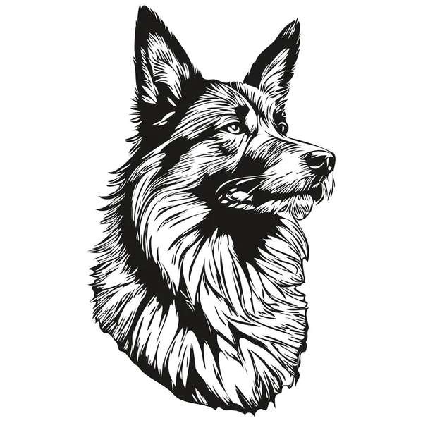 比利时Tervuren犬手绘标识画黑白线条画图画图 — 图库矢量图片