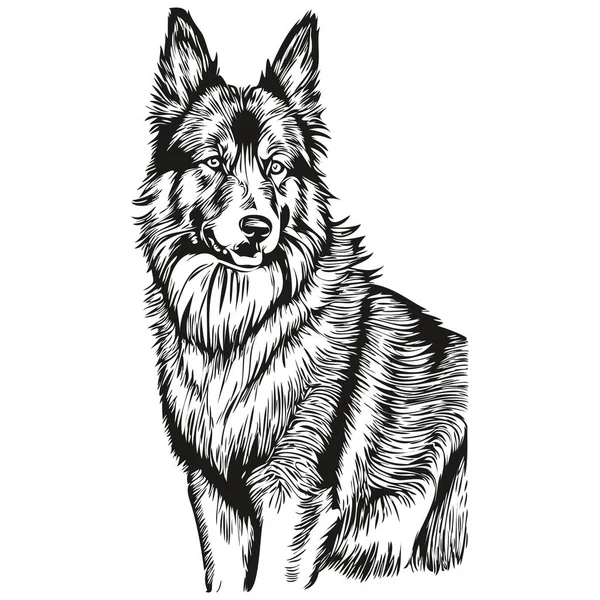 Belgian Tervuren Dog Hand Drawn Logo Drawing Black White Line — Stock Vector