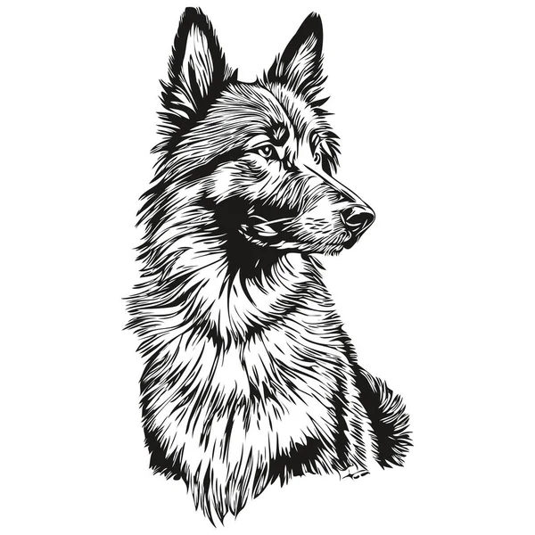 Belgian Tervuren Dog Head Line Drawing Vector Hand Draw Illustration — 스톡 벡터