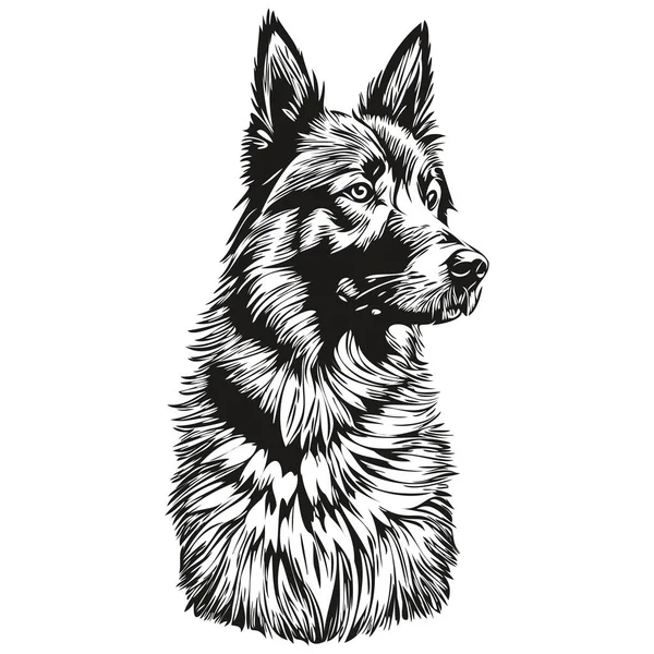 ベルギーのTervulen犬インクスケッチ図面 ヴィンテージタトゥーまたはTシャツプリント黒と白のベクトル現実的な品種ペット — ストックベクタ