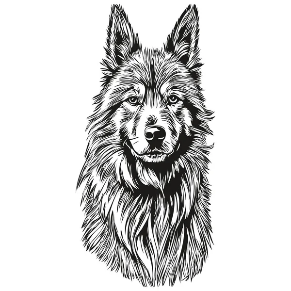 ベルギーのTervulen犬インクスケッチの描画 ヴィンテージタトゥーやTシャツプリント黒と白のベクトルスケッチの描画 — ストックベクタ