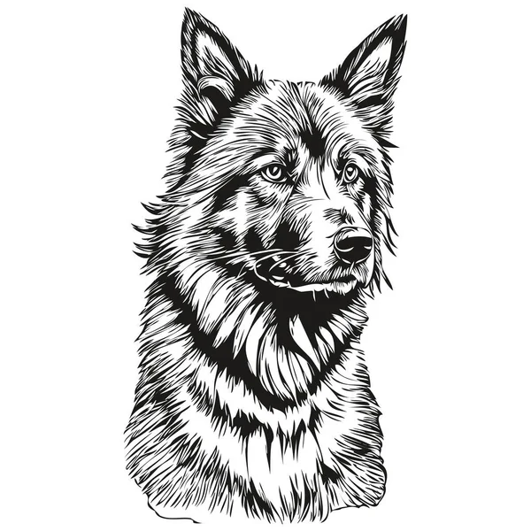 Бельгійська Тервюренська Собака Чорнило Ескіз Малюнок Вінтажне Татуювання Або Сорочка — стоковий вектор