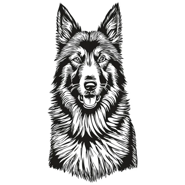 Belgisk Tervuren Hund Isolerad Ritning Vit Bakgrund Huvud Husdjur Linje — Stock vektor