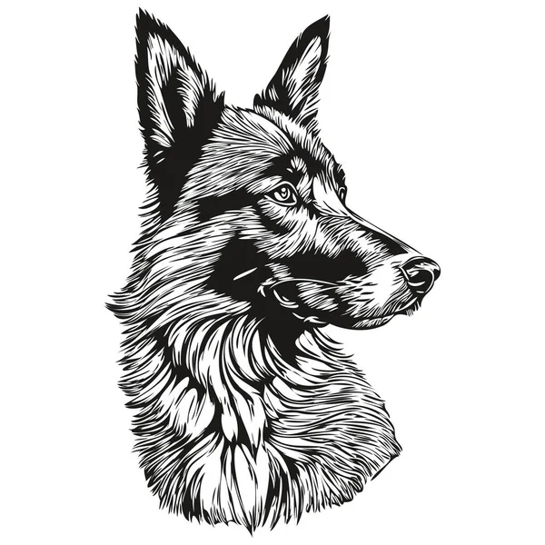 Belgische Tervuren Hondenlijn Illustratie Zwart Wit Inkttekening Gezicht Portret Vector — Stockvector