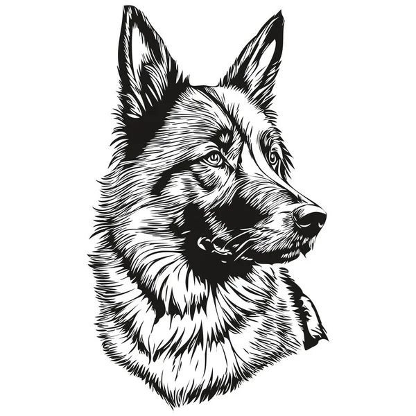 Belgian Tervuren Dog Line Illustration Black White Ink Sketch Face — 스톡 벡터