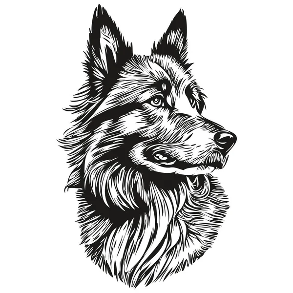 Belçika Tervuren Köpek Logo Vektörü Siyah Beyaz Klasik Sevimli Köpek — Stok Vektör
