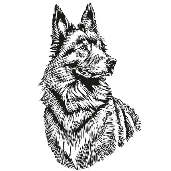 比利时Tervuren狗标识矢量黑白 老式可爱的狗头雕刻现实的宠物轮廓 — 图库矢量图片