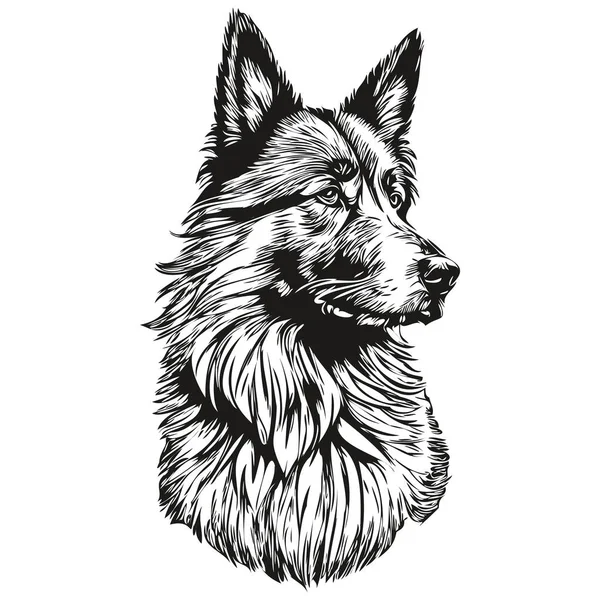 比利时Tervuren狗标识矢量黑白 老式可爱的狗头雕刻草图 — 图库矢量图片
