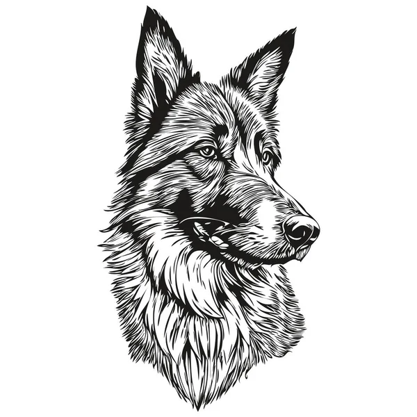 Belgiska Tervuren Hund Kontur Penna Teckning Konstverk Svart Karaktär Vit — Stock vektor