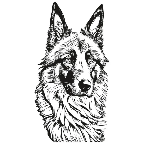 ベルギーのTervulen犬のアウトライン鉛筆画のアートワーク 白地のスケッチの黒文字 — ストックベクタ