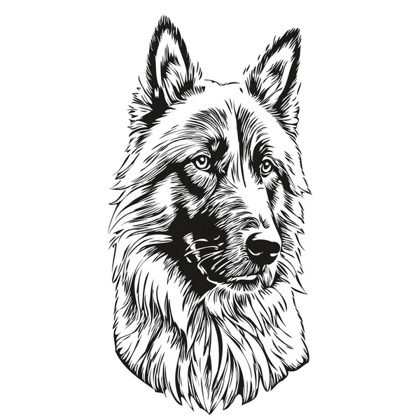 比利时Tervuren犬铅笔手绘矢量 图解宠物脸标识黑白逼真品种宠物 — 图库矢量图片