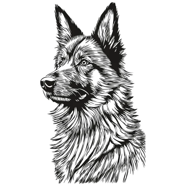 比利时Tervuren犬铅笔手绘矢量 图示宠物脸标识黑白草图 — 图库矢量图片