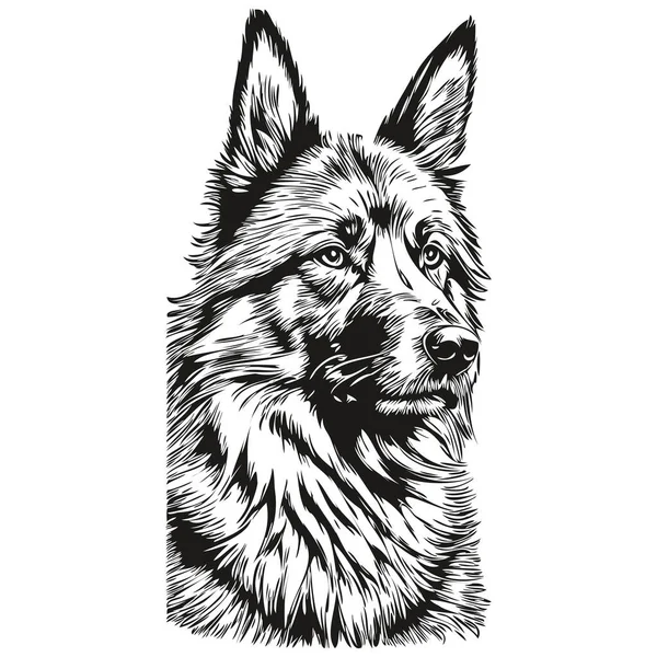 比利时Tervuren宠物狗的轮廓 动物线条插图手绘黑白病媒逼真品种宠物狗 — 图库矢量图片