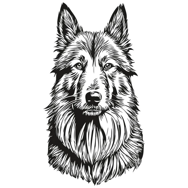 比利时Tervuren宠物狗轮廓 动物线条插图手绘黑白矢量逼真宠物狗轮廓 — 图库矢量图片