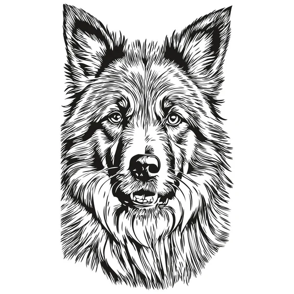 比利时Tervuren宠物狗轮廓 动物线条插图手绘黑白矢量草图 — 图库矢量图片
