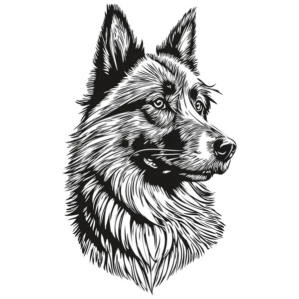 比利时Tervuren犬的宠物狗轮廓 动物线条插图手绘黑白矢量 — 图库矢量图片