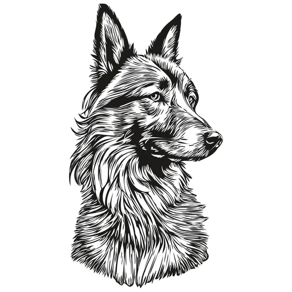 比利时Tervuren犬宠物素描图解 黑白雕刻矢量 — 图库矢量图片