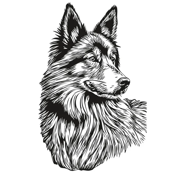 比利时Tervuren犬宠物素描画图 黑白雕刻法矢量素描图 — 图库矢量图片