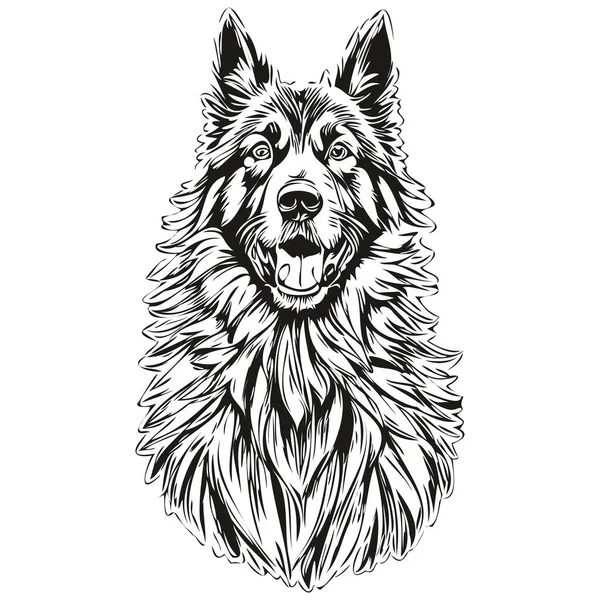 比利时Tervuren狗写实铅笔画中的矢量 线条画中的狗脸黑白相间的写实品种宠物 — 图库矢量图片