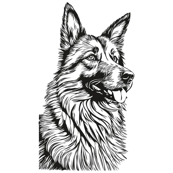 Retrato Perro Belga Tervuren Vector Dibujo Mano Animal Para Tatuaje — Archivo Imágenes Vectoriales