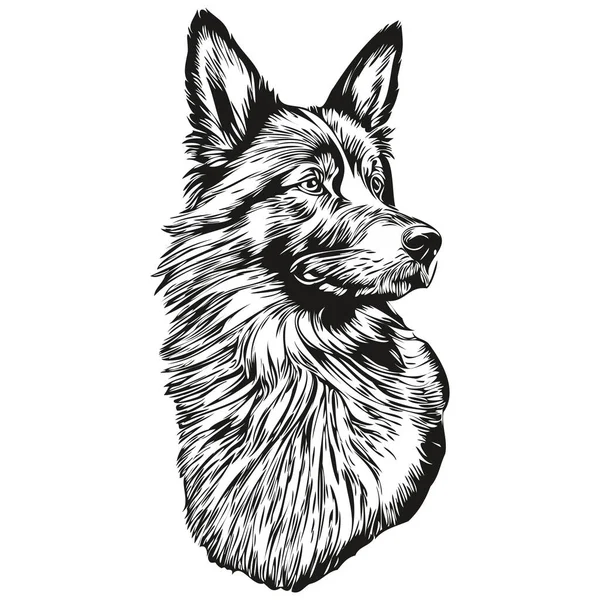 ベルギーのTervulen犬の現実的なペットのイラスト 手描きの顔黒と白のベクトルスケッチの描画 — ストックベクタ