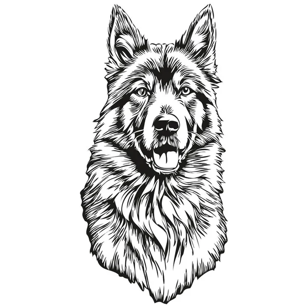 Belgischer Tervuren Hund Realistische Haustier Illustration Handzeichnung Gesicht Schwarz Weiß — Stockvektor