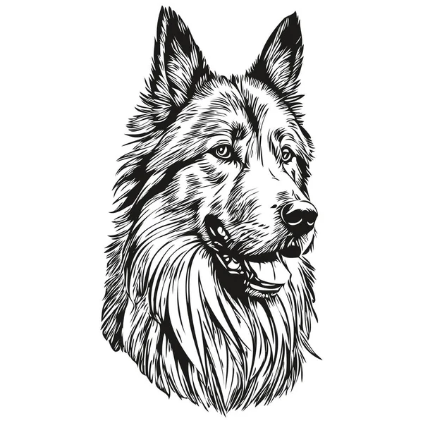 ベルギーのTervulen犬の現実的なペットのイラスト 手描きの顔黒と白のベクトル現実的なペットのシルエット — ストックベクタ