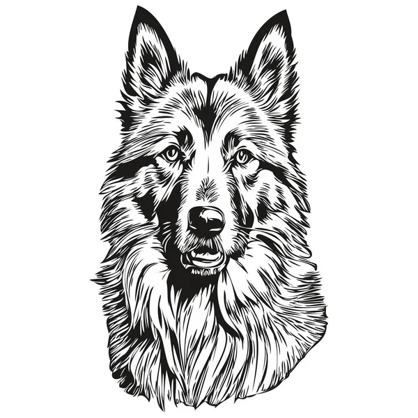 比利时Tervuren狗的人物形象 剪贴画艺术载体宠物画黑白逼真品种宠物 — 图库矢量图片