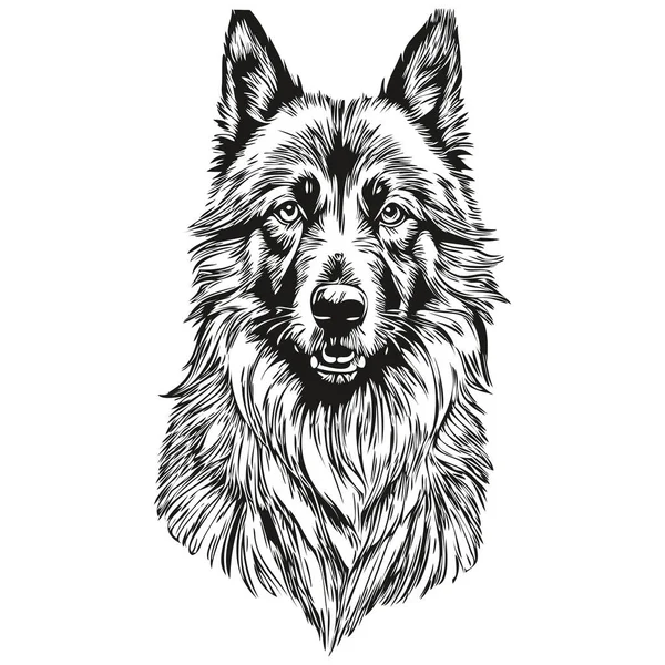 Belgische Tervuren Hond Realistisch Huisdier Illustratie Hand Tekening Gezicht Zwart — Stockvector
