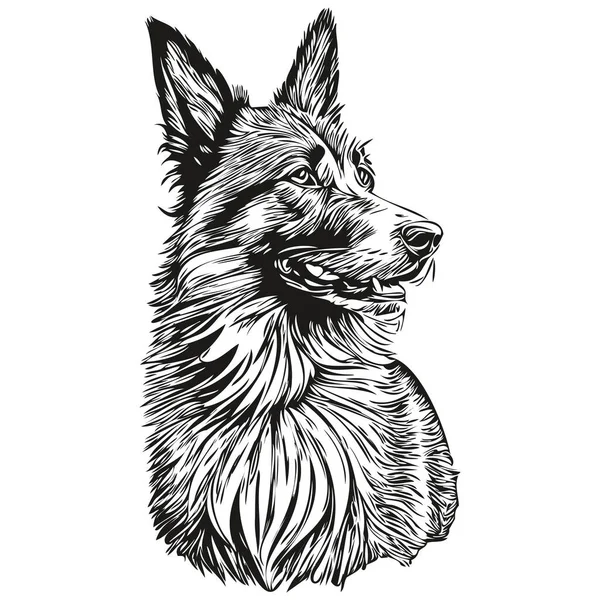 Belgian Tervuren Dog Silhouette Pet Character Cliclip Art Vector Pets — 스톡 벡터